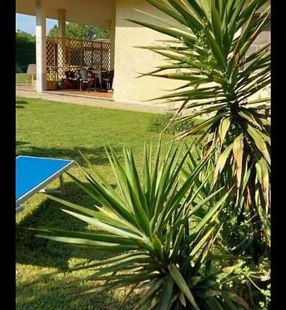 Green Garden Viareggio Ngoại thất bức ảnh